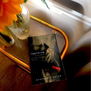 Stephanie Meyer Book